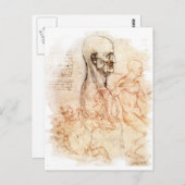 ダ・ヴィンチ – 男と馬のスケッチ ポストカード (正面/裏面)