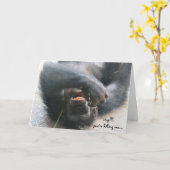 チおもしろいンパンジー誕生日カード、丘を越えて カード (黄色い花)