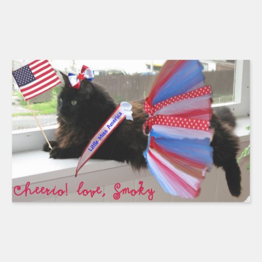 「チアオ!スモーキーステッカーが大好き 長方形シール (正面)