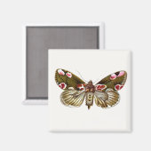 チアティラバティスザピーチブロッサムモス マグネット (正面/裏面)