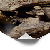 チアノゲネイ ポスター (コーナー)