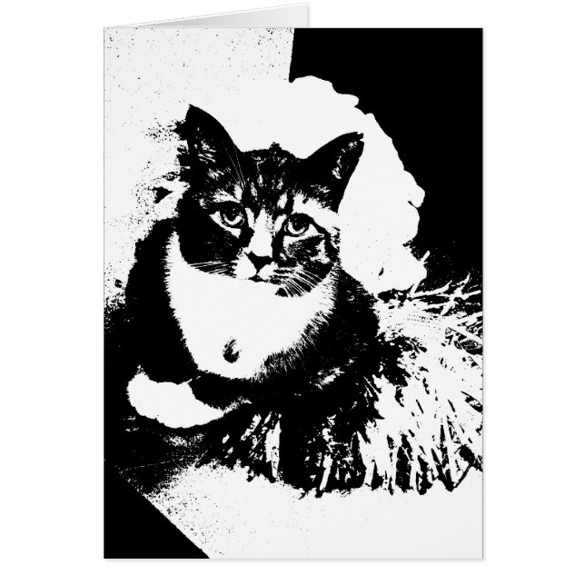 チアリーダー猫Iのhazのpomのpom! (正面)