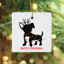 チウェニーのクリスマスライト