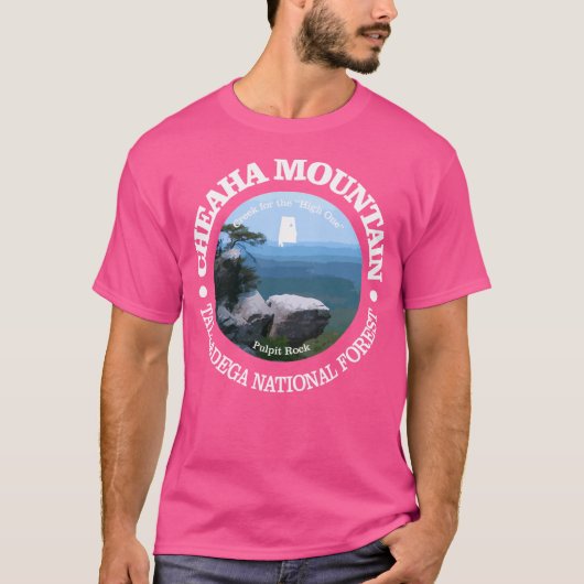 チェアハマウンテン(P) Tシャツ (正面)