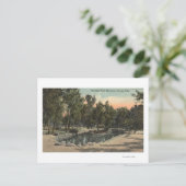 チェイエンヌキャニオン，コロラド – ストラトンパークビュー ポストカード (スタンド正面)