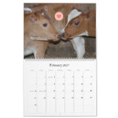 チェイス乳製品の牛と子牛のカレンオーガニックダー カレンダー (2月 2027)