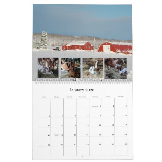 チェイス乳製品の牛と子牛のカレンオーガニックダー カレンダー (1月 2026)