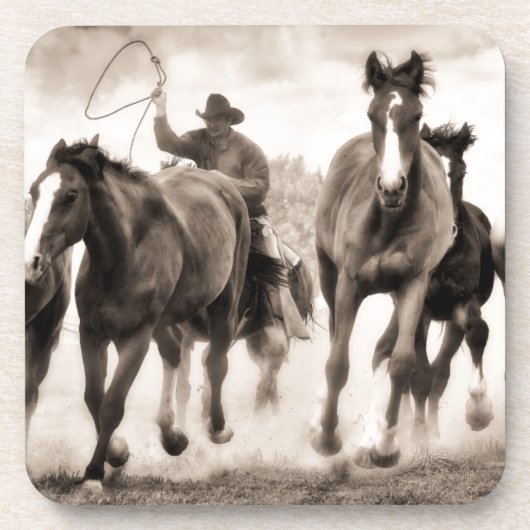 チェイスI コースター (正面)