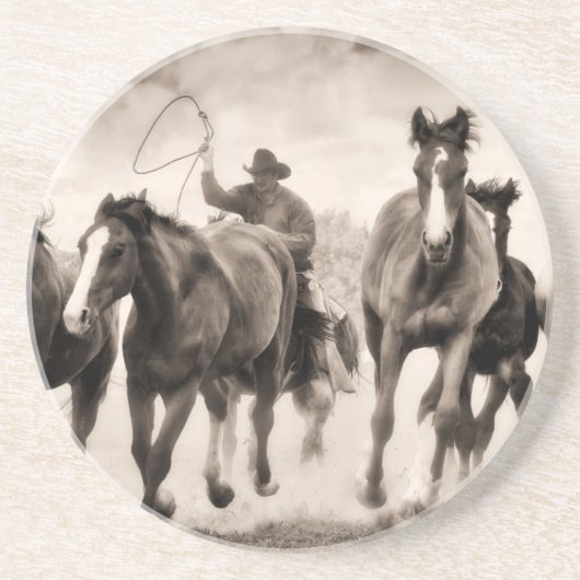 チェイスI コースター (正面)