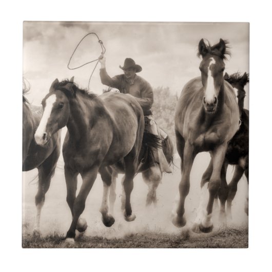 チェイスI タイル (正面)