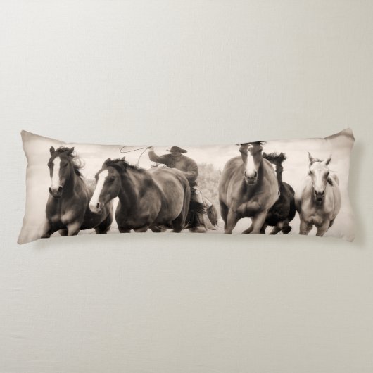 チェイスI ボディピロー (正面)