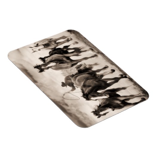 チェイスI マグネット (右側)