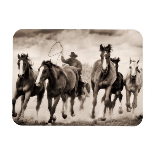 チェイスI マグネット (横)