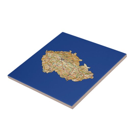 チェキアマップタイル タイル (側面)