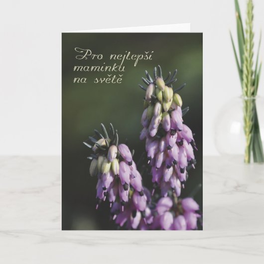 チェコのマザーズデイカード カード (正面)