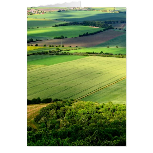 チェコの中央山 (正面)
