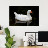 チェコグース。ロースパークレイク,カーディフ,ウェールズのポスト ポスター (ホームオフィス)