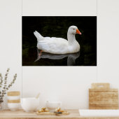 チェコグース。ロースパークレイク,カーディフ,ウェールズのポスト ポスター (キッチン)