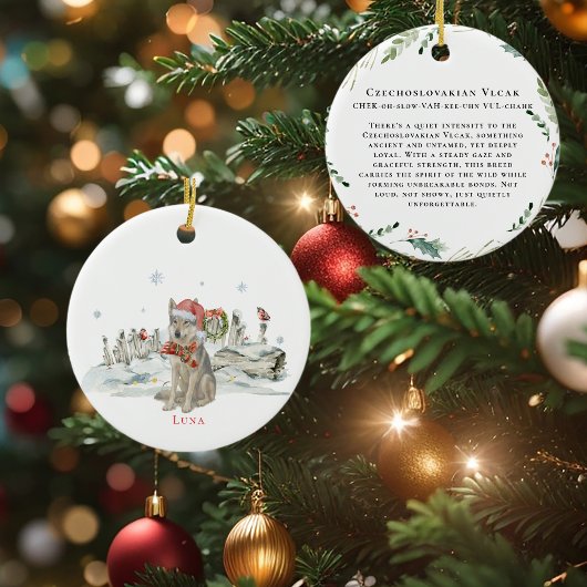 チェコスロバキア語Vlcak水彩犬モノグラム セラミックオーナメント