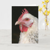 チェコ誕生日カード カード (黄色い花)