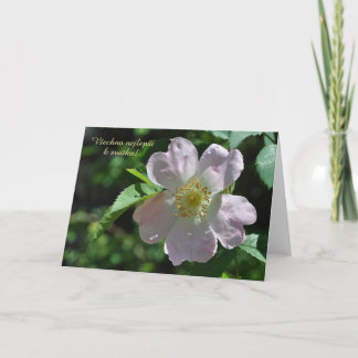 チェコ語の名刺 カード