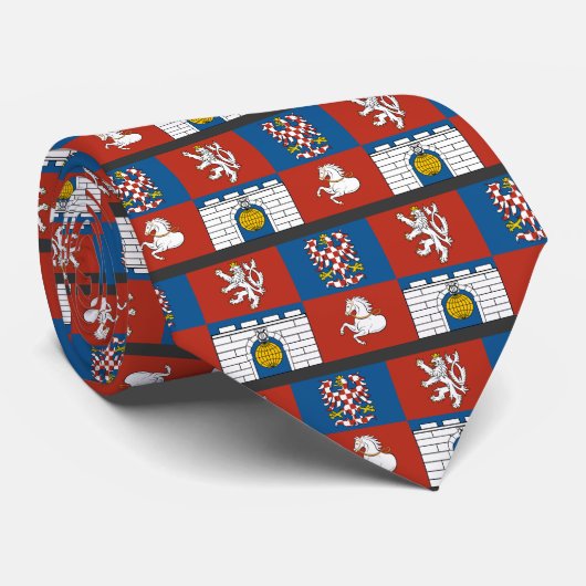 チェコ語Pardubiceの地域 ネクタイ (ロール)