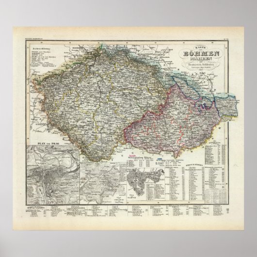 チェコ ポスター (正面)