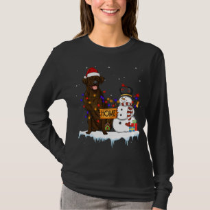 チェサピークおもしろいベイリトリエバードグッドクリスマススノーム Tシャツ