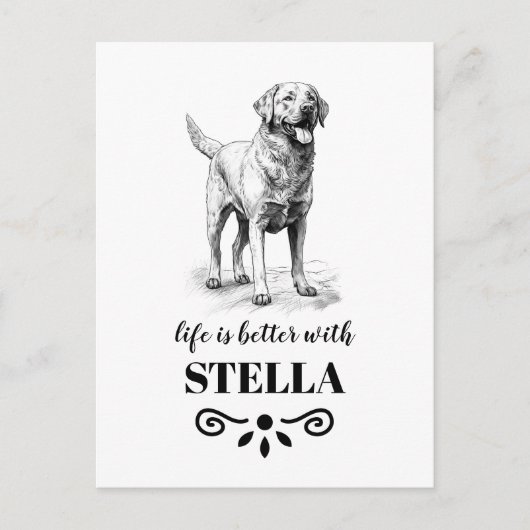 チェサピークカスタムベイレトリバー犬の名前 ポストカード (正面)