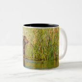 チェサピークベイリトリバー狩りドッグコーヒーマグ ツートーンマグカップ (正面右)