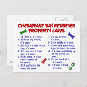 チェサピークベイリトリーバー財産法2 ポストカード (正面/裏面)
