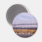 チェサピーク湾の鳥 マグネット (正面/裏面)