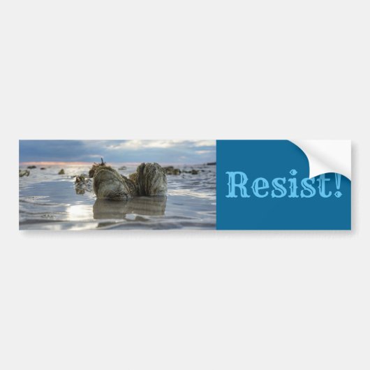 チェサピーク湾を救って下さい! バンパーステッカー (正面)