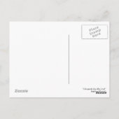 チェサピーク湾ブルーカニ ポストカード (裏面)