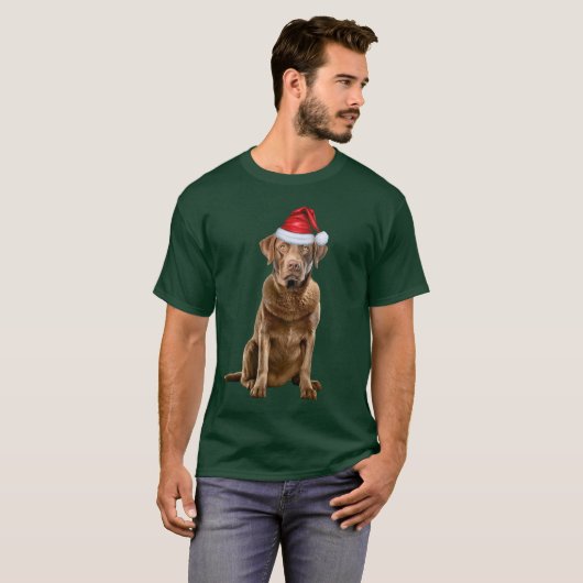 チェサピーク湾リトリエバークリスマスドおもしろいッグ Tシャツ (正面フル)