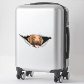 チェサピーク湾リトリバーデカール,ドッグステッカー シール (スーツケース)