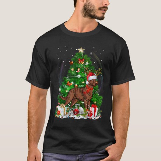 チェサピーク湾レトリエバークリスマスツリーライトパハ Tシャツ (正面)