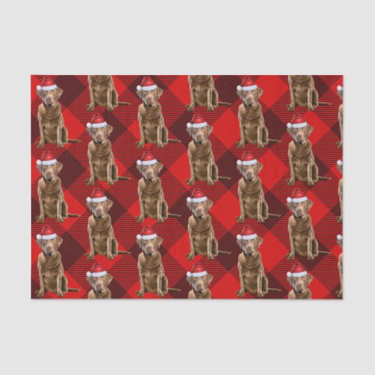 チェサピーク湾レトリエバードッグクリスマスホリデー 薄葉紙 (正面)