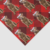 チェサピーク湾レトリエバードッグクリスマスホリデー 薄葉紙 (詳細)