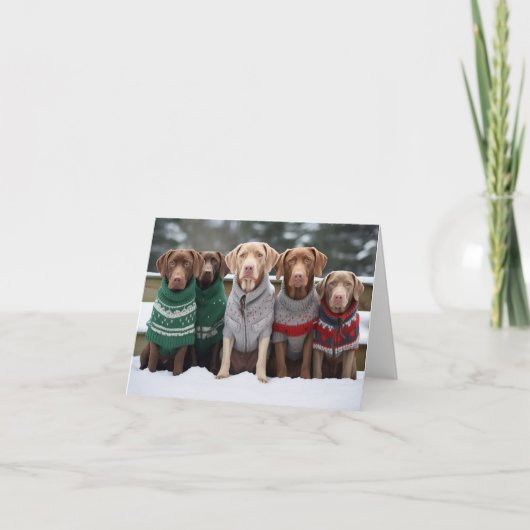 チェサピーク湾レトリバークリスマスカード カード (正面)