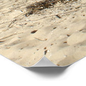 チェサピーク湾 ポスター (角)