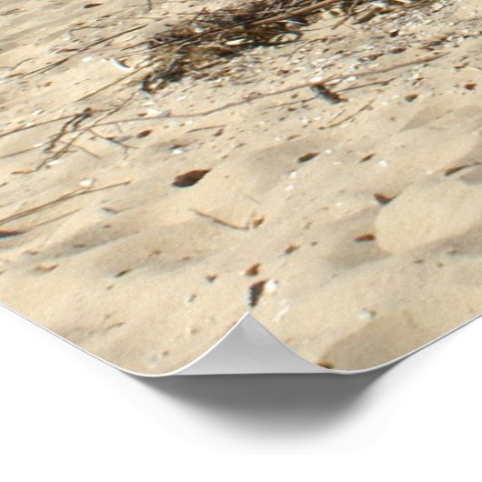 チェサピーク湾 ポスター (角)