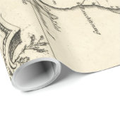 チェサピーク湾(1752年)のヴィンテージの地図 ラッピングペーパー (ロールコーナー)