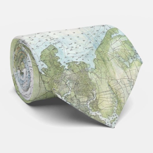 チェサピーク湾(1857年)のヴィンテージの地図 ネクタイ (ロール)