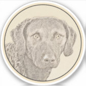 チェサピーク絵画ベイリトリバーオリジナルドッグアート シール (正面)