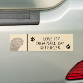 チェサピーク絵画ベイリトリバーオリジナルドッグアート バンパーステッカー (車上)