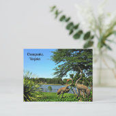 チェサピーク,バージニア ポストカード (スタンド正面)