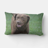 チェサピーク・ベイ・レトリーバー ランバークッション (裏面)