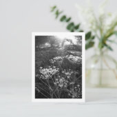 チェシャーの霜の朝 ポストカード (スタンド正面)