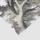 チェシャーキャットアリスワンダーランドクラシック 薄葉紙 (詳細)